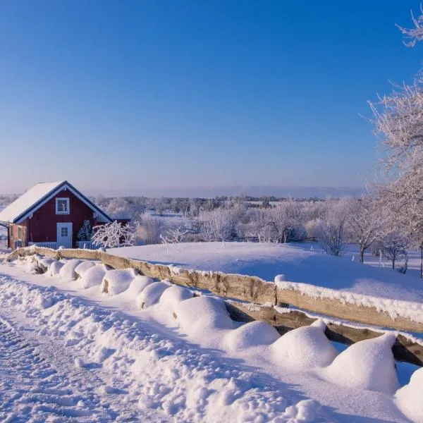 Anne's Cottage，位于Saastna的酒店