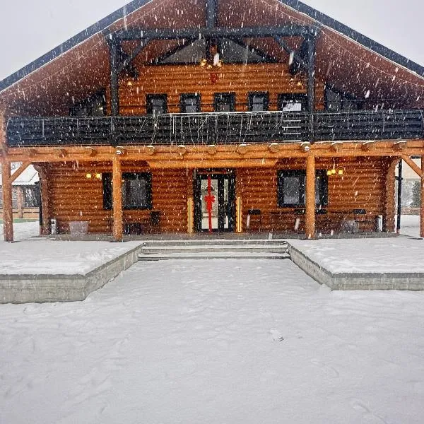 Domi Chalet，位于Şişeşti的酒店