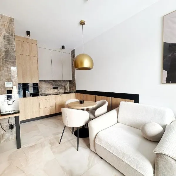 Apartament - Vidok 301，位于Olsztyn的酒店