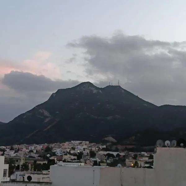 Appartement cyclamen Hammam lif Tunisie Afrique，位于Hammam-Lif的酒店