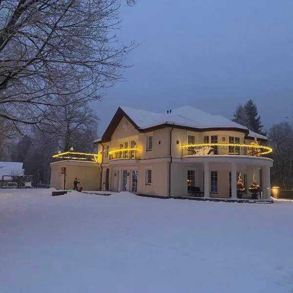 Gulbės Apartamentai，位于阿尼克什奇艾的酒店