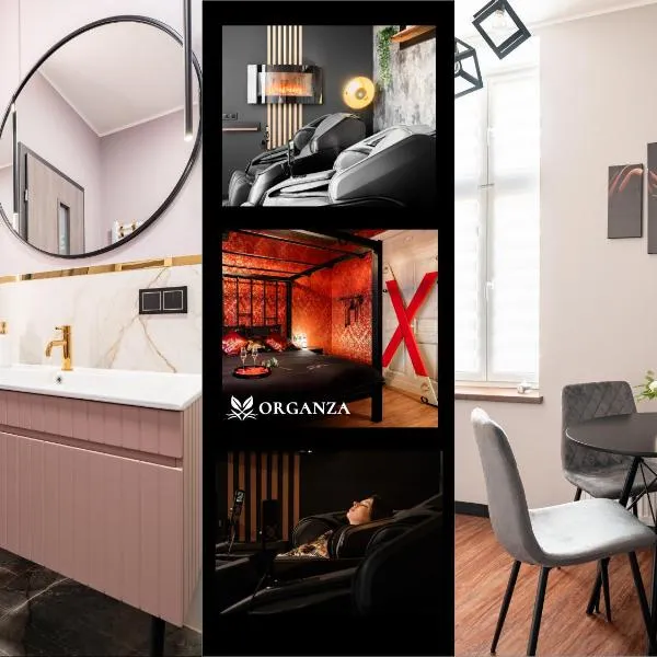 Apartament Organza - Private Gym - Spa - Free Parking，位于托伦的酒店