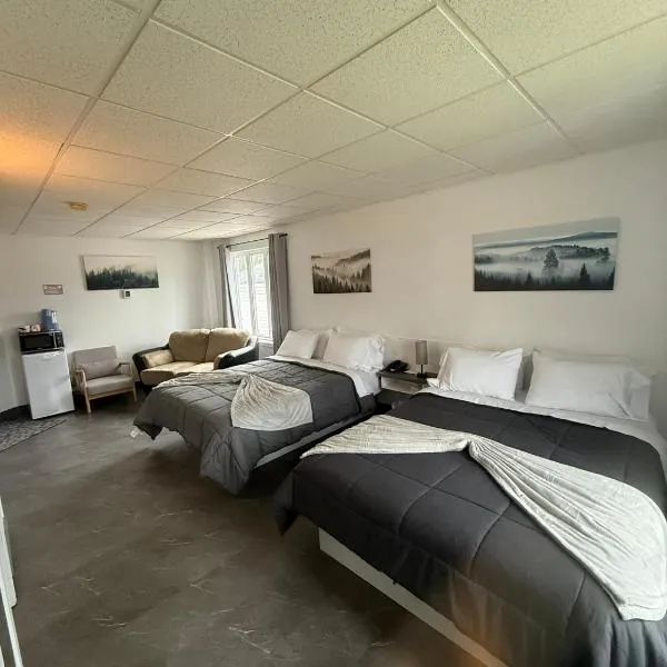 Hôtel Auberge St-Félicien，位于圣费利西安的酒店
