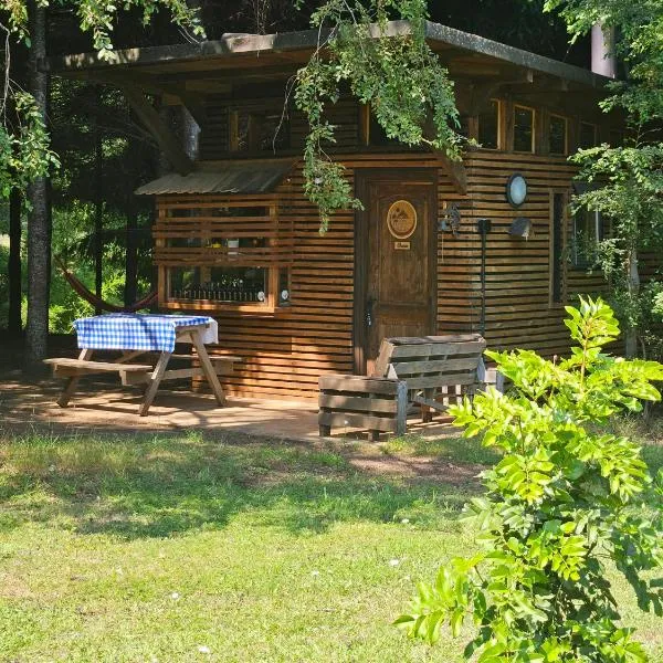 Brisas del llaima，位于梅利佩乌科的酒店