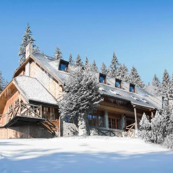 Horský hotel Vidly，位于卡尔洛瓦斯图丹卡的酒店