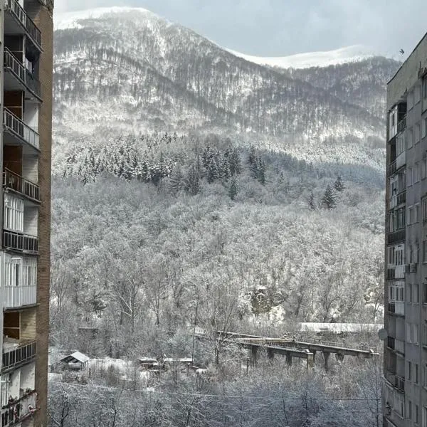 ADA Residence Lupeni acces rapid catre Straja Ski Resort,位于Lupeni的酒店