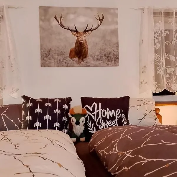 Ferienwohnung zum Sebnitzer Hirsch，位于塞布尼茨的酒店