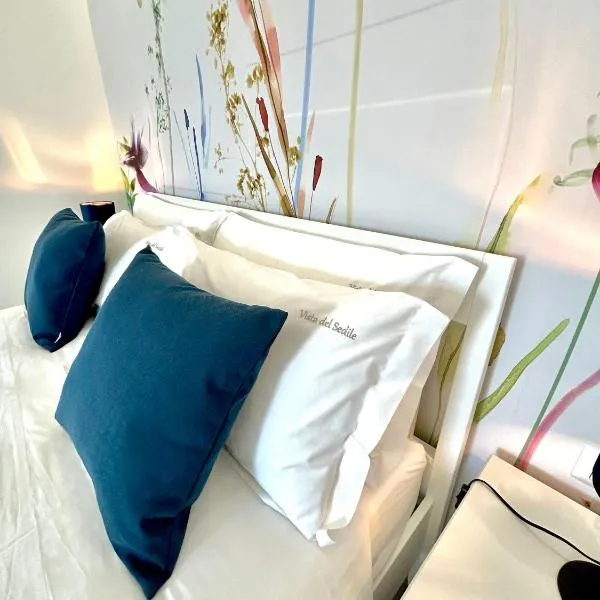 Vista del Sedile - affittacamere - vicinanze aeroporto，位于莫杜尼奥的酒店