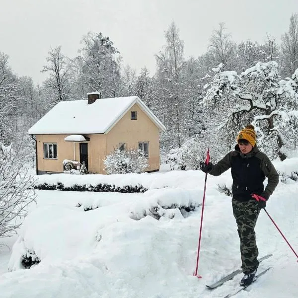 Little Cabin，位于Gnosjö的酒店