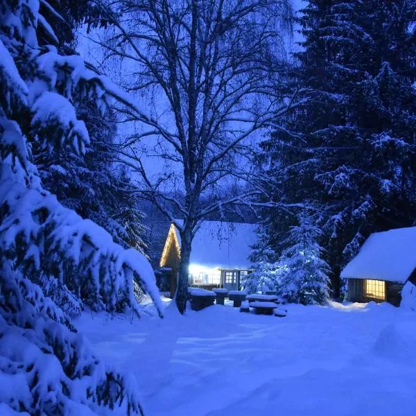 Casuta dintre brazi，位于Râșca的酒店