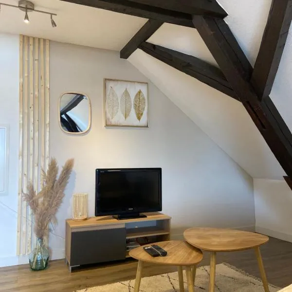 Bel appartement 2 pièces，位于Soufflenheim的酒店