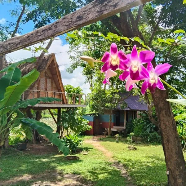 Fandee Island - Treehouses, Tiny Houses & Zipline - Tad Lo, Boloven Loop Pakse，位于Ban Kiangtat的酒店