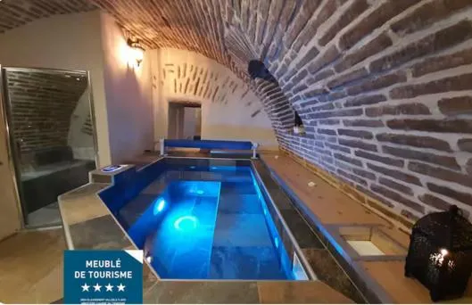 Studio et spa privatif Le Puits de la Grâce，位于阿尔比的酒店