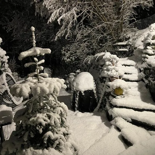 Rivendell 9，位于蒙绍的酒店