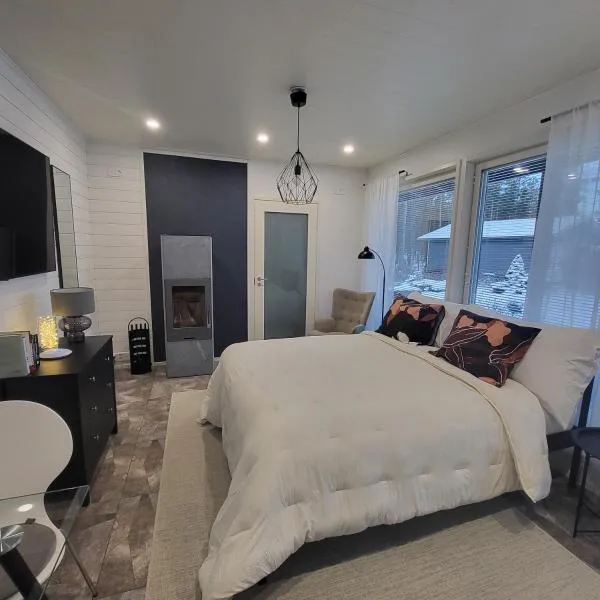 Cozy studio with a wood burning sauna，位于劳马的酒店