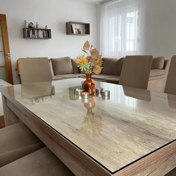 Apartman Burinović，位于Temerin的酒店