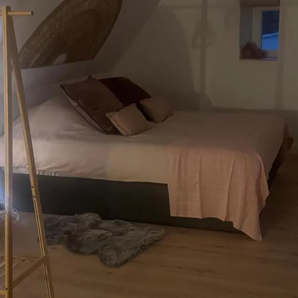 L atelier du dormeur，位于Oberhoffen-sur-Moder的酒店