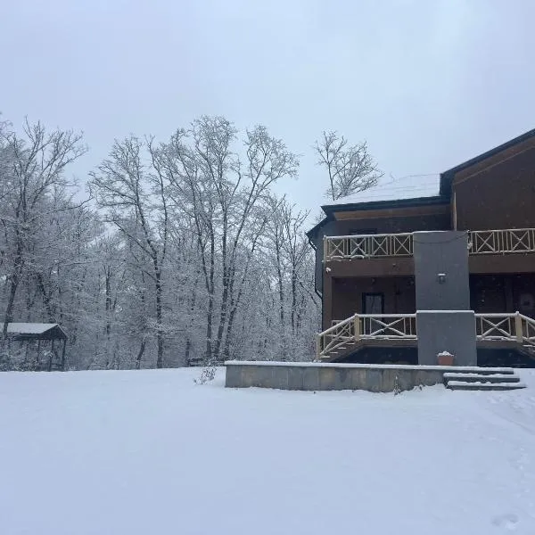 CHALET WOODS GUSAR，位于库萨雷的酒店