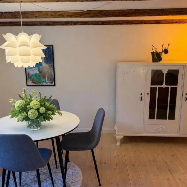 Villa Fuga kælderlejlighed,位于Jelling的酒店