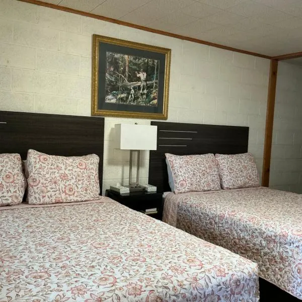 星光汽车旅馆，位于大派恩的酒店