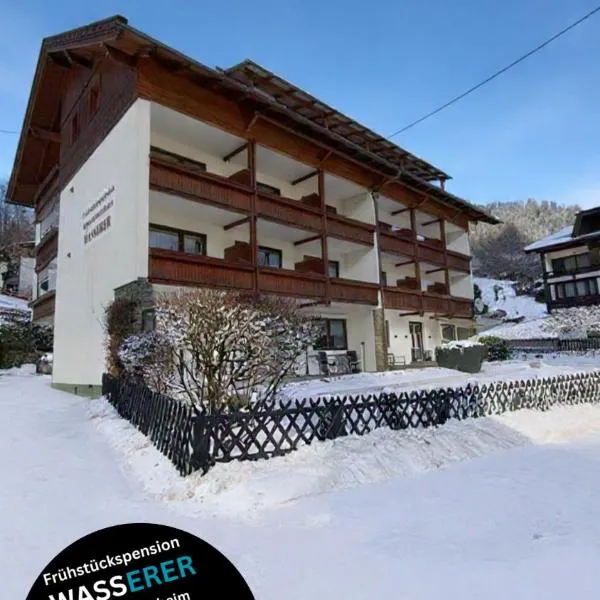 瓦索洛住宿加早餐公寓酒店，位于巴德小基希海姆的酒店