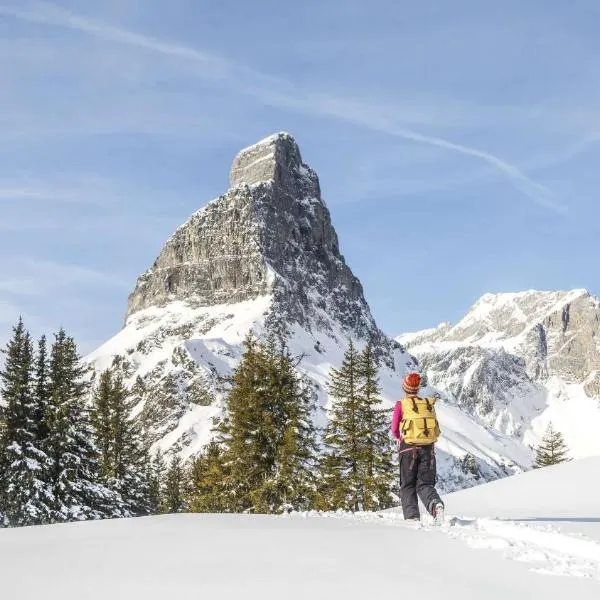 Snowfun Unterkunft Bergheimat - Ganz einfach ganz unkompliziert ganz relaxd，位于Linthal的酒店