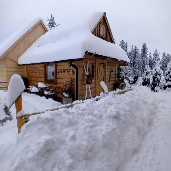 Chatka w Dolinie，位于维托韦的酒店