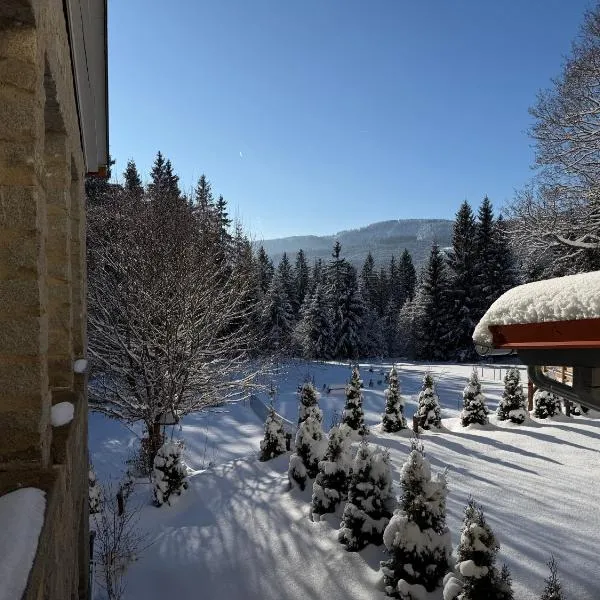 Maiers Hotel，位于拜尔里舍艾森施泰恩的酒店