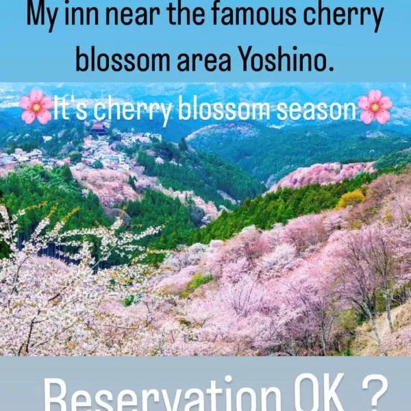 Inn Unkai no Sato no Yado 民宿 雲海の里の宿，位于Nosegawa的酒店