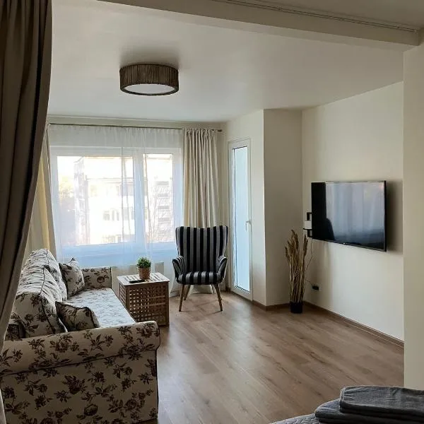Lapu ielas apartment，位于奥格雷的酒店