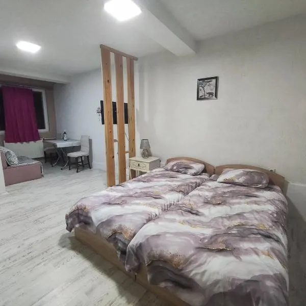 Villa DIJA，位于克鲁舍沃的酒店