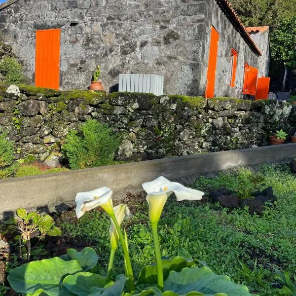 Casa Picobello，位于Calheta de Nesquim的酒店