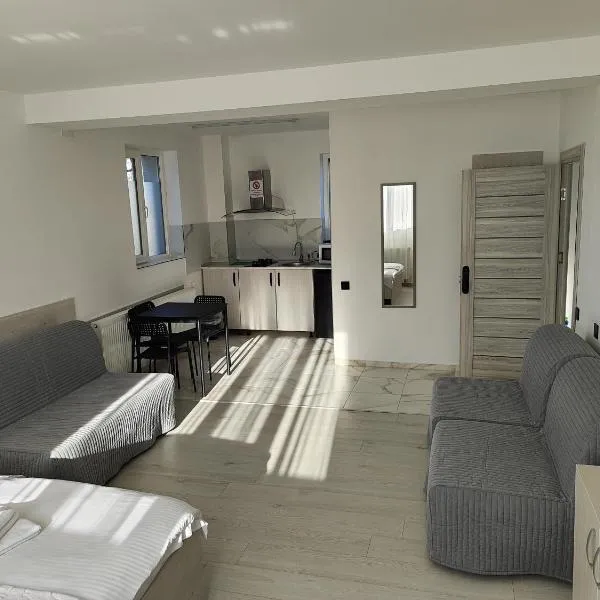 Max Night Dreams，位于布加勒斯特的酒店