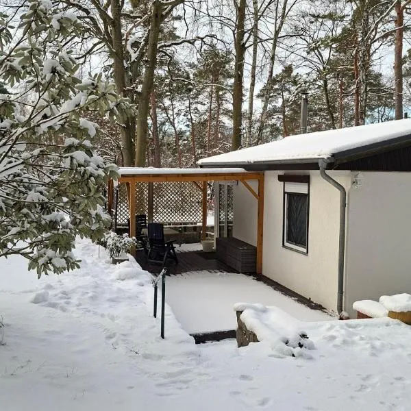 Kleines Haus am Wald，位于施维洛塞的酒店