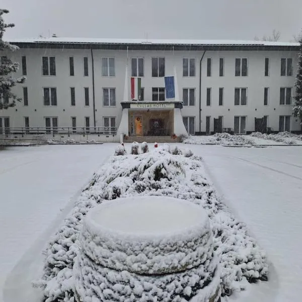 Hotel Csillag Tokaj，位于托考伊的酒店