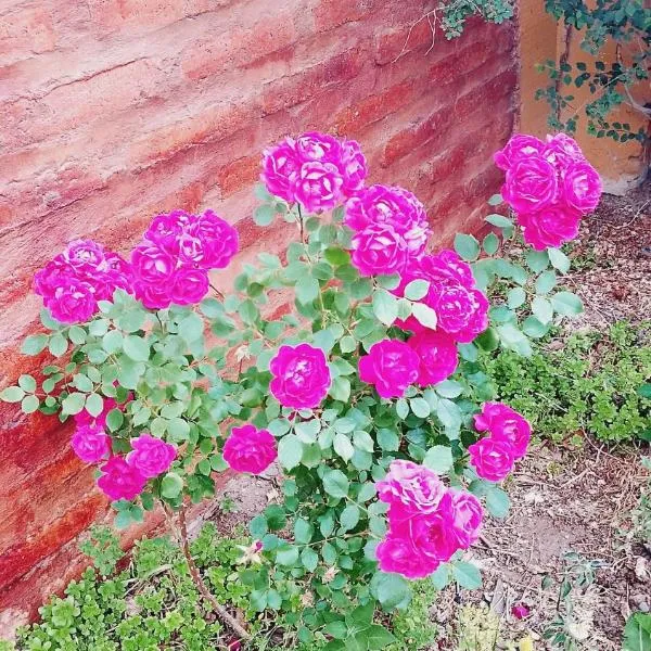 Dpto BBB，位于萨帕拉的酒店