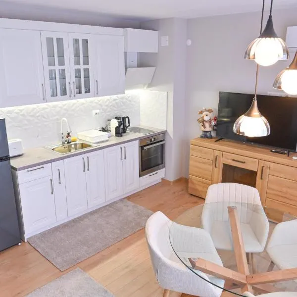 2 Luxurious one bedroom apartments 5 minute walk from the Gondola station，位于班斯科的酒店