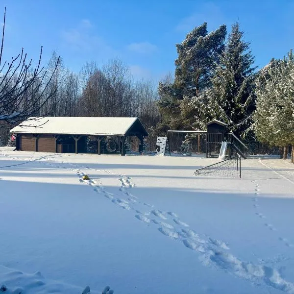 Apartament u kucharzy Łysica 1，位于Wilków的酒店