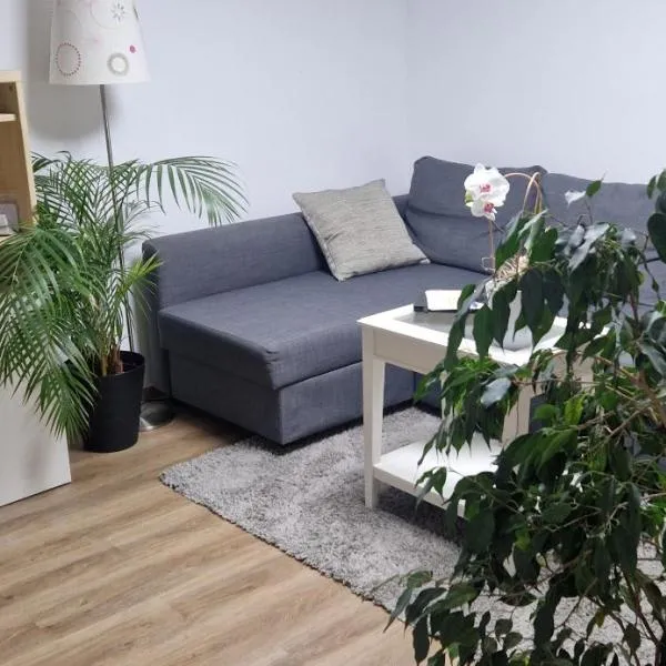 Charmantes und neu renoviertes Apartment in der Nähe des Flughafens，位于Mannswörth的酒店