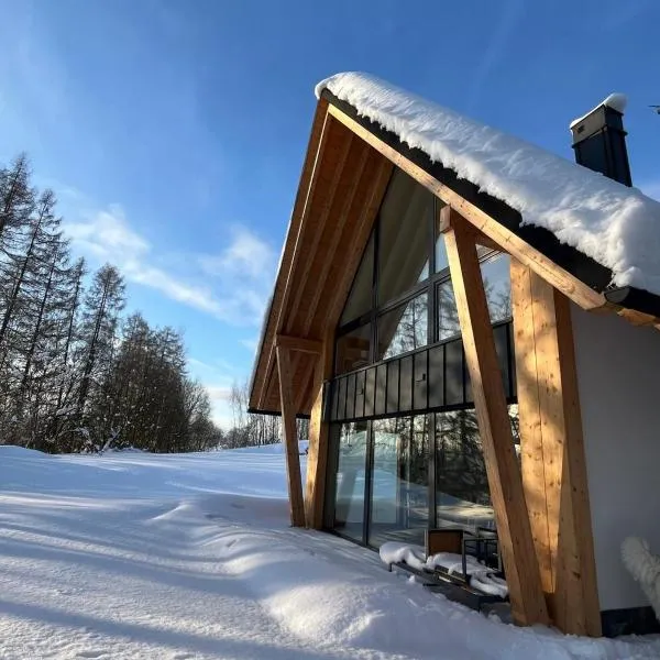 Chata u Przewodnika，位于Ostrowsko的酒店