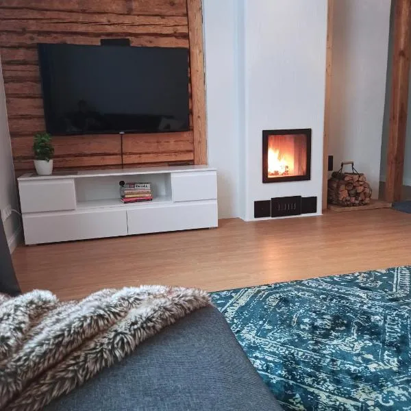 Relax Inn Otepää Apartment，位于奥泰佩的酒店