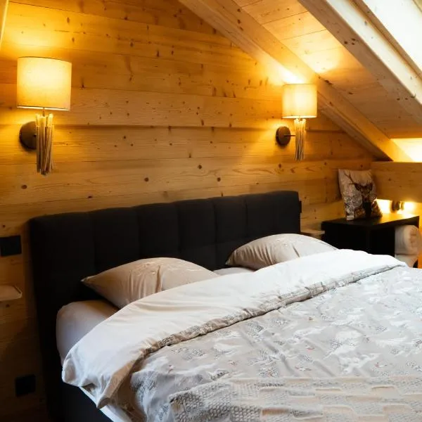 La Rose des neiges à Châtel，位于沙泰勒的酒店