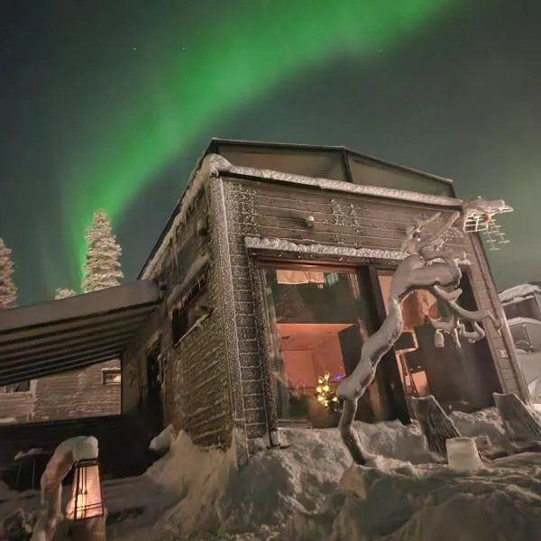 Levi Secret Igloo Ruska，位于列维的酒店