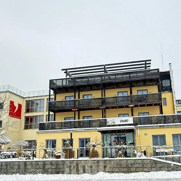 巴德米滕多夫公寓酒店，位于特劳恩基兴的酒店