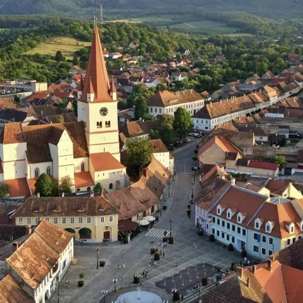 Heltau Apartments，位于Cisnădie的酒店