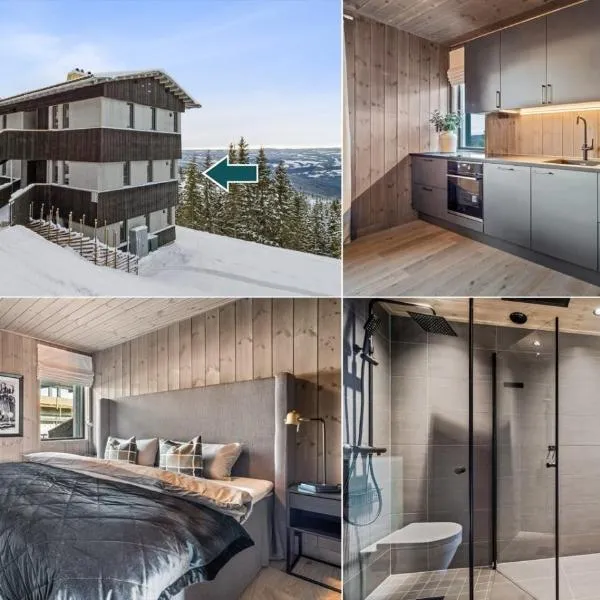 Hafjell Front 220D 8pers, Ski inout , Downhill Bike，位于哈山的酒店