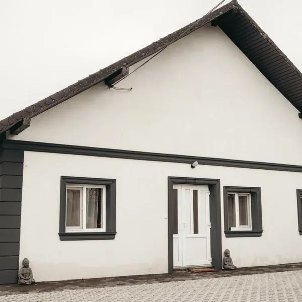 Vila Turistica la Domnica si Cristina - with sauna and hot tub，位于Mitocu Dragomirnei的酒店