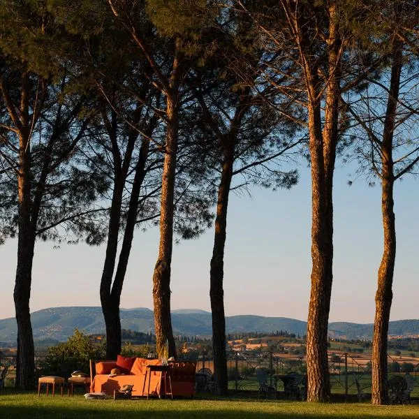 Castello Monticelli，位于Castiglione della Valle的酒店