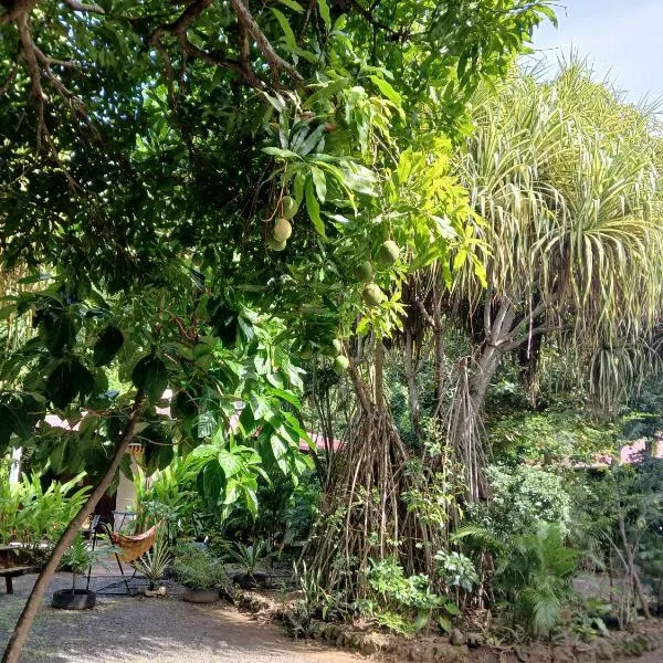 Résidence Les MANGUIERS OTANTIK，位于黑角的酒店