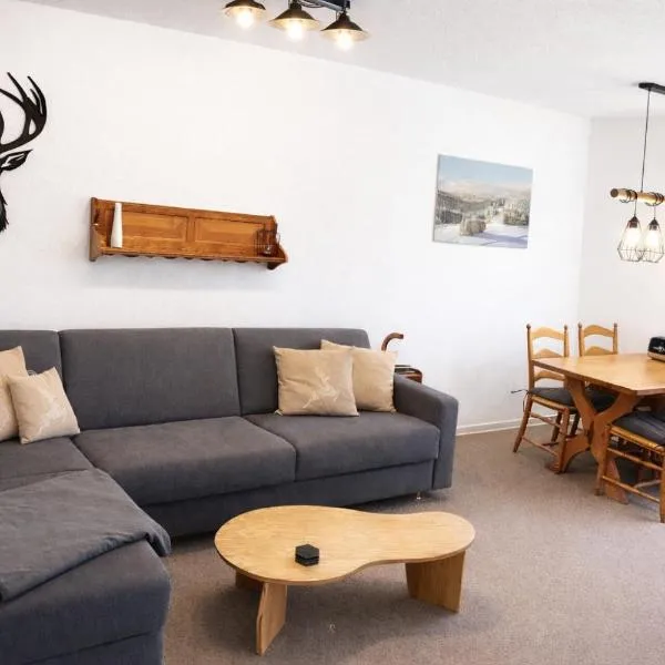 FreiRaum Panorama-Appartement mit Pool & Sauna，位于绍纳赫的酒店